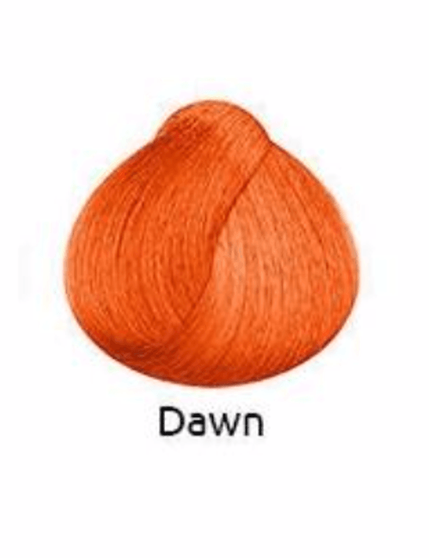 Stargazer Dawn