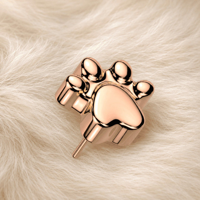 Hovedbillede Memory Paw Print Push-fit ...