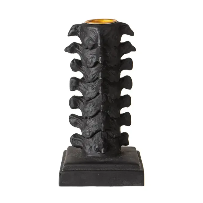 Main Image Skull Gothic Vertebrae ...