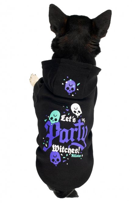 Main Image Party Pet Hoodie