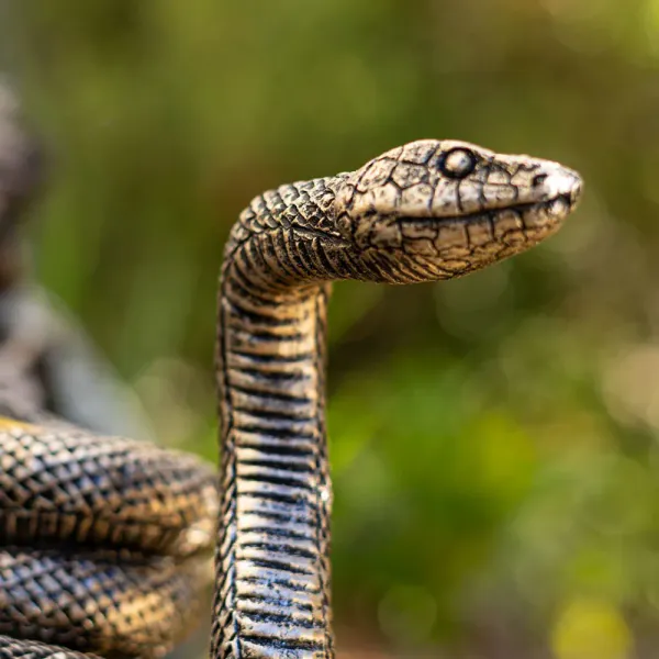 Hovedbilde Snake Candle Holder