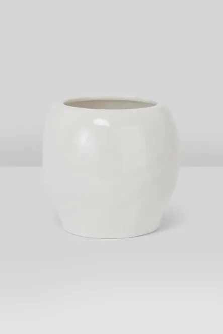 Hovedbillede Cranium Planter