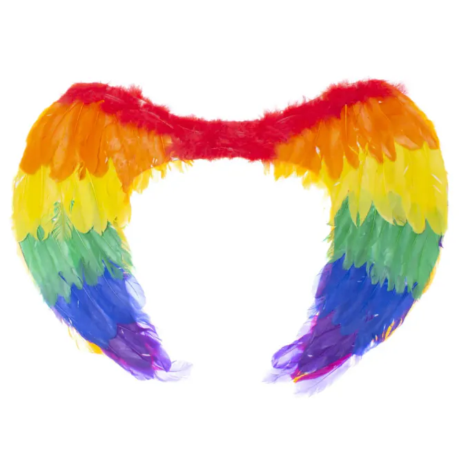 Huvudbild Rainbow Angel Wings