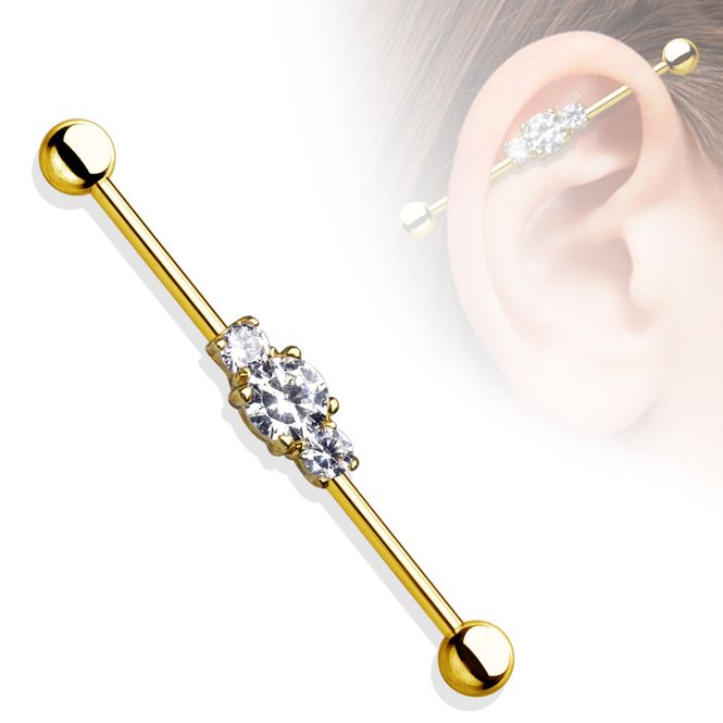 Hovedbillede Mia Industrial Barbell Gold