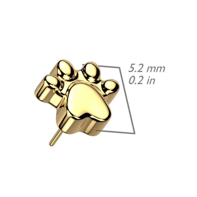 Memory Paw Print Push-fit 