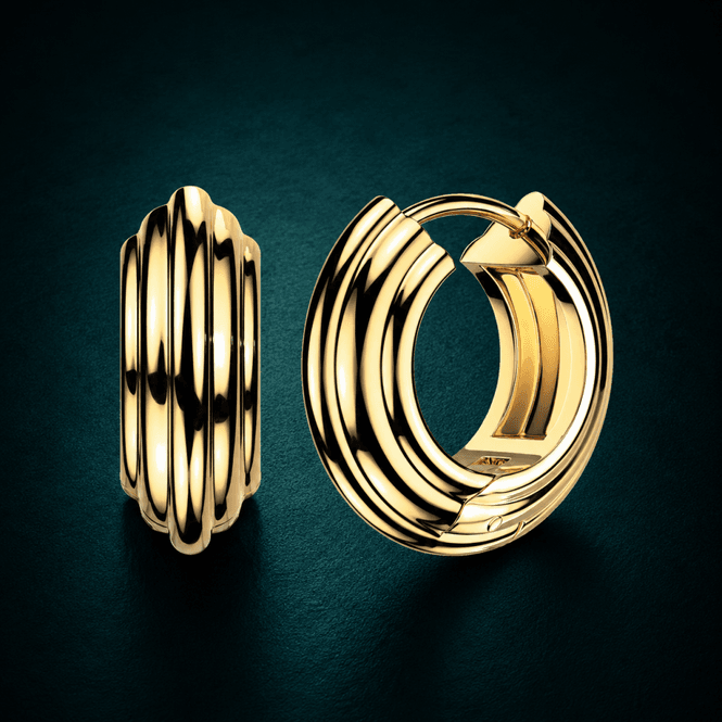 Hovedbillede Bold Hoops Earrings 