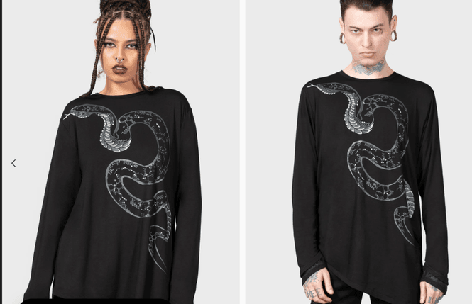 Huvudbild Aniliidae Top